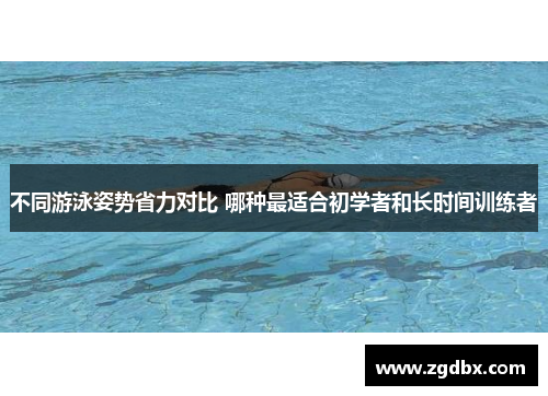 不同游泳姿势省力对比 哪种最适合初学者和长时间训练者